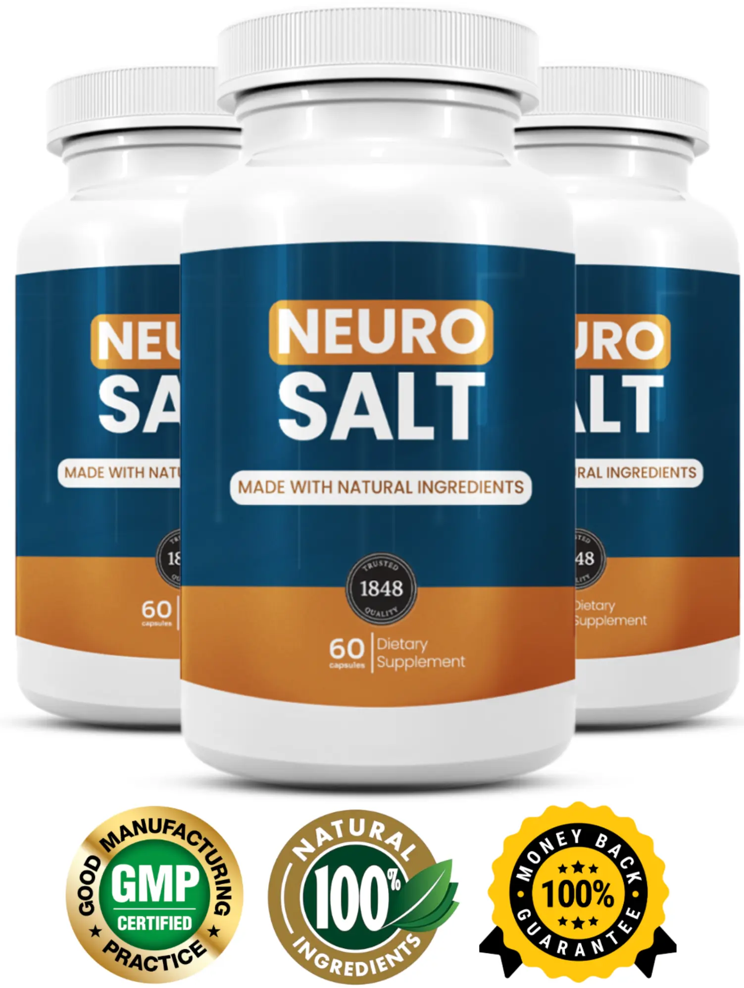 NeuroSalt official